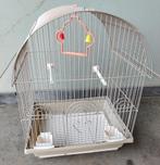Cage perroquet Titi, Enlèvement ou Envoi, Métal, Neuf, Cage à oiseaux