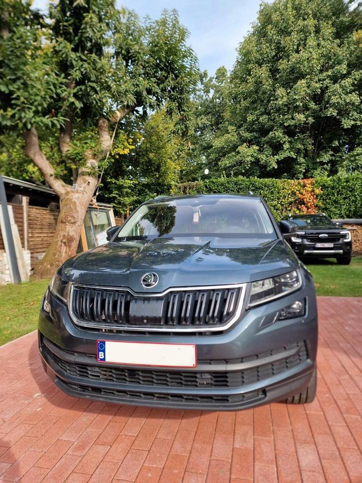 Skoda Kodiaq
Full option
2.0 190pk
Automaat 4x4
7plaatsen, Auto's, Skoda, Particulier, Kodiaq, 360° camera, 4x4, Zetelverwarming