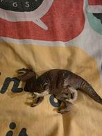 Schleich Dino, Kinderen en Baby's, Speelgoed | Actiefiguren, Ophalen of Verzenden