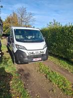 Lichte vracht, Auto's, Particulier, Te koop, Fiat