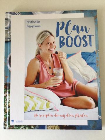 Plan boost - Nathalie Meskens