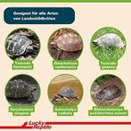 Schildpad Bedding | 20 liter | GRATIS LEVERING, Tuin en Terras, Verzenden, Overige typen