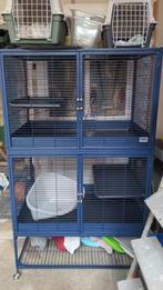 CAGE SAVIC SUITE ROYALE DOUBLE, Ophalen, Kooi, Zo goed als nieuw, 90 cm of meer