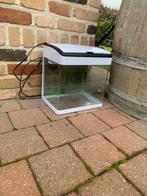 Klein aqurium, Dieren en Toebehoren, Ophalen, Zo goed als nieuw