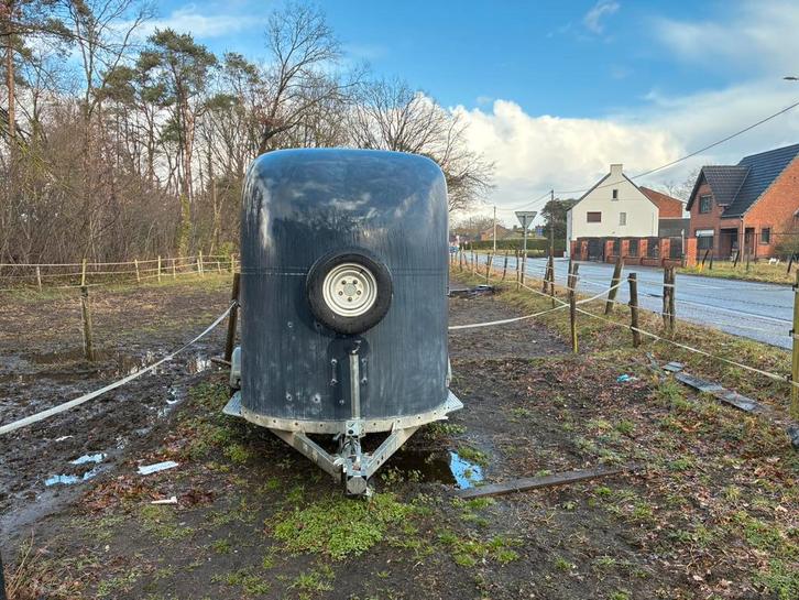Frautras Trailer van 2003 MTM 3000kg, Dieren en Toebehoren, Paarden en Pony's | Trailers en Aanhangwagens, Gebruikt, 3-paards trailer