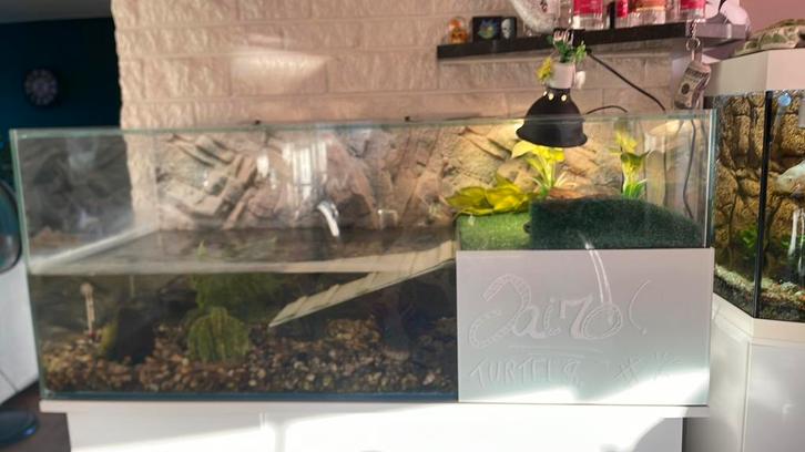 Schildpad Aquariem, Dieren en Toebehoren, Vissen | Aquaria en Toebehoren, Zo goed als nieuw, Overige typen, Ophalen