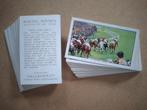 Racing Scenes complete set 48 chromos paarden races 1938, Ophalen of Verzenden, Voor 1940, Dier