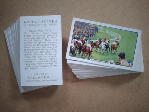 Racing Scenes complete set 48 chromos paarden races 1938, Verzamelen, Foto's en Prenten, Dier, Voor 1940, Ophalen of Verzenden