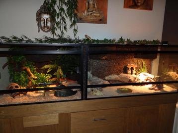 Aanbieding Nieuw terrarium 100x50x50 beschikbaar voor biedingen