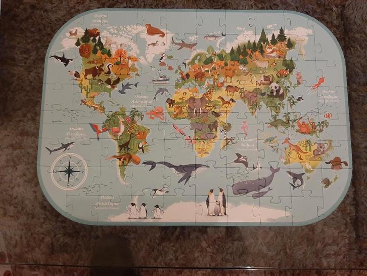 Planisphère puzzle d’Avenue Mandarine 76 pièces, Enfants & Bébés, Jouets | Puzzles pour enfants, Enlèvement ou Envoi