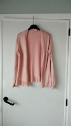 Golfje Melvin L, Kleding | Dames, Truien en Vesten, Ophalen of Verzenden