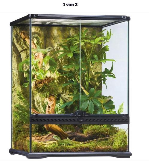 TERRARIUM PALLADARIUM exo terra groot 45x50x60cm, Dieren en Toebehoren, Reptielen en Amfibieën | Toebehoren, Gebruikt, Terrarium of Paludarium