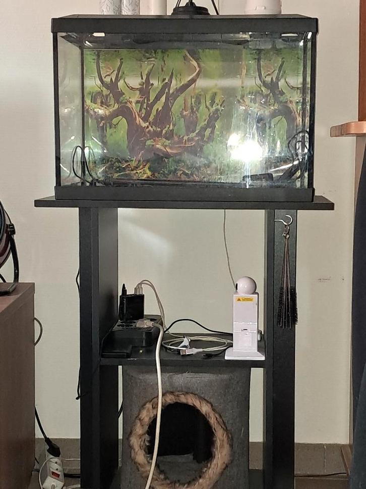 Aquarium met alle toebehoren direct te gebruiken, Animaux & Accessoires, Poissons | Aquariums & Accessoires, Utilisé, Aquarium vide