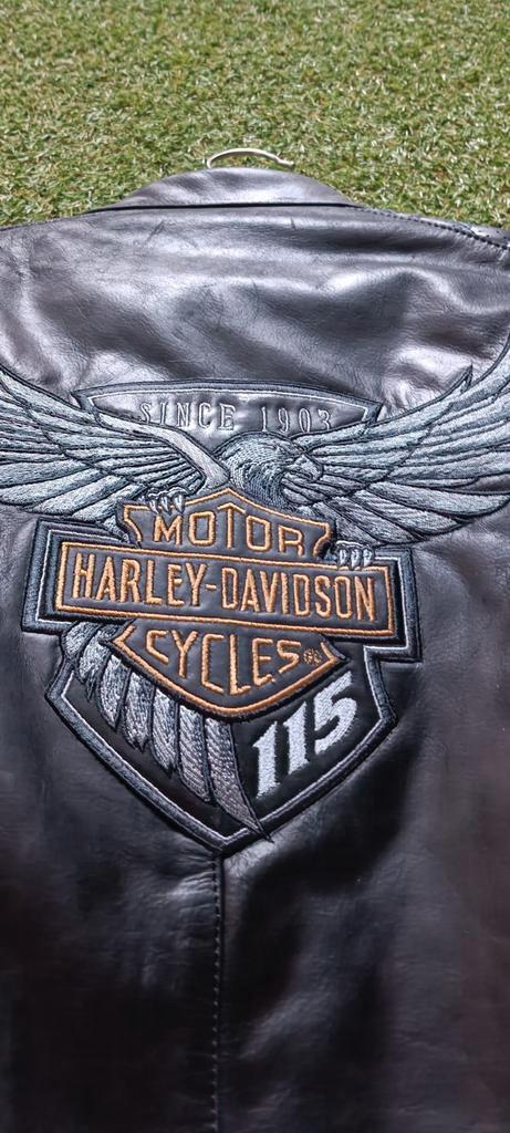 Veste cuir.  Harley Davidson anniversaire. Neuve, Motos, Vêtements | Vêtements de moto, Pantalon | cuir, Enlèvement