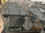 Cage pour rongeur, 75 à 110 cm, Cage, Comme neuf, Enlèvement