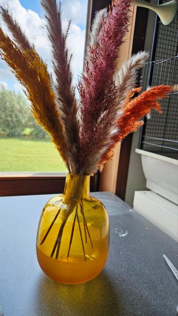 Vaas met droogbloemen beschikbaar voor biedingen