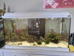 Aquarium aqualantis, Dieren en Toebehoren, Ophalen, Zo goed als nieuw