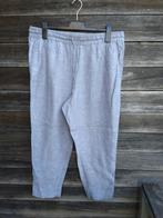 Lichtgrijze Linnen Broek In Maat 48, Kleding | Dames, Grote Maten, H&M, Ophalen of Verzenden, Zo goed als nieuw, Grijs