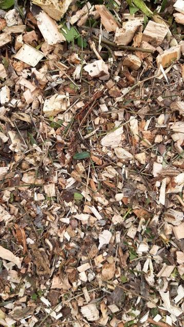 Hakselhout / hakseling beschikbaar voor biedingen