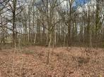 Stuk bos te Schriek, Immo, Terrains & Terrains à bâtir, Schriek, 1500 m² ou plus