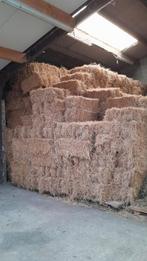 Hooi., Dieren en Toebehoren, Ophalen