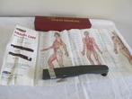 SKYLARK health care GB-1002 massage acupuncture, Ophalen