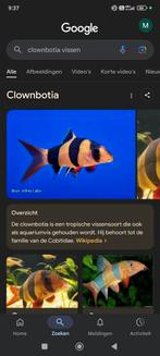 Biota vissen gezocht regio langemark of Ieper, Dieren en Toebehoren