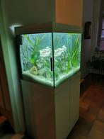 Juwel Lido 200 Aquarium + ondermeubel en accessoires, Dieren en Toebehoren, Ophalen, Zo goed als nieuw