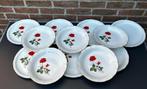 set/12 eetborden Digoin-Sarreguemines France, Ophalen