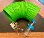 Set van 4 accessoires voor konijnen, Dieren en Toebehoren, Ophalen, Nieuw, Knaagmateriaal