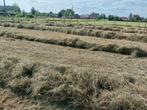 Kleine balen Voordroog hooi, Zakelijke goederen, Landbouw | Veevoer, Ophalen of Verzenden