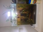 Aquarium, Watersport en Boten, Hengelsport | Zeevissen, Ophalen, Zo goed als nieuw