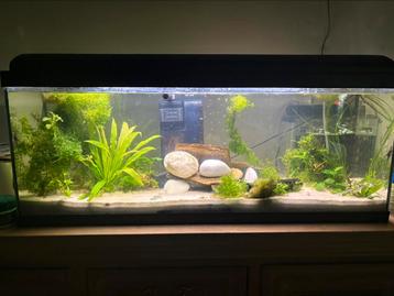 Aquarium met led tl met 3 kleuren filter verwarming beschikbaar voor biedingen