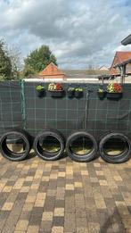 Nexen n’blue 4 season banden, Auto-onderdelen, Banden en Velgen, Ophalen, 245 mm, Nieuw, All Season