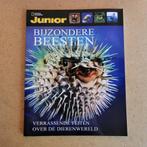 National Geographic Junior - Bijzondere dieren, Boeken, Tijdschriften en Kranten, Ophalen of Verzenden, Nieuw