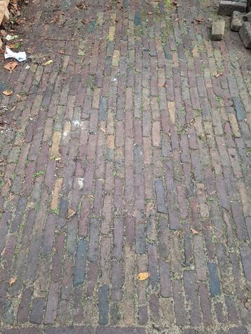 Oude gebakken waaltjes! Op pallets hollandse klinkers beschikbaar voor biedingen