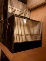 TT -kooien, Dieren en Toebehoren, Ophalen of Verzenden, Gebruikt, Hout, Overige typen