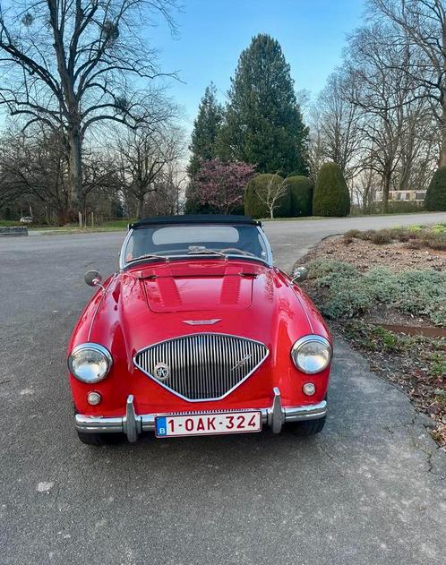 Austin Healey 100 / 4 bn1 de 1955, Autos, Oldtimers & Ancêtres, Particulier, Essence, 3 portes, Enlèvement