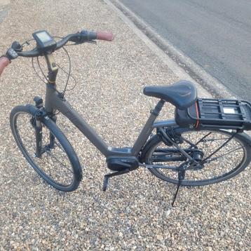Qwic premium mn7 beschikbaar voor biedingen