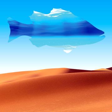 Schilderij - Desert Fish - Alain - 2022 - 1m x 1m