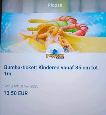 Ticket plopsaqua de Panne, Tickets & Billets