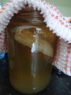 Kombucha scoby, Ophalen of Verzenden