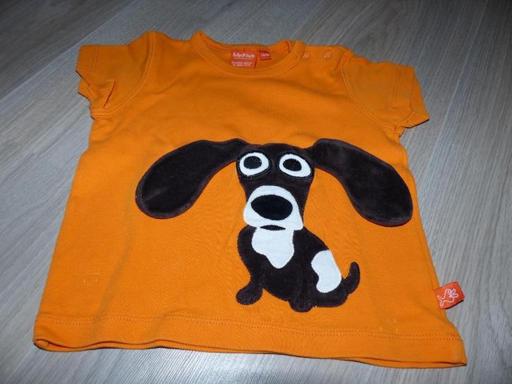 Lipfish oranje shirtje met korte mouwen - maat 74, Kinderen en Baby's, Babykleding | Maat 74, Zo goed als nieuw, Jongetje, Shirtje of Longsleeve