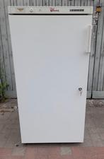 Liebherr Frigo A+, Elektronische apparatuur, Vriezers en Diepvrieskisten, Ophalen, Zo goed als nieuw