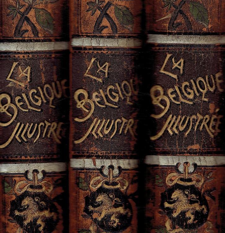 La Belgique,Illustre -1890-3Dl. Ses Monuments, Ses Paysages,, Antiek en Kunst, Antiek | Boeken en Manuscripten, Ophalen of Verzenden