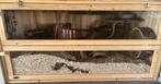 Knaagdierhok Trixie, Zo goed als nieuw, Hok, Hamster, 75 tot 110 cm