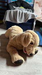 Hond knuffel (groot, +/- 70cm) zgan!, Kinderen en Baby's, Speelgoed | Knuffels en Pluche, Hond, Gebruikt, Ophalen of Verzenden