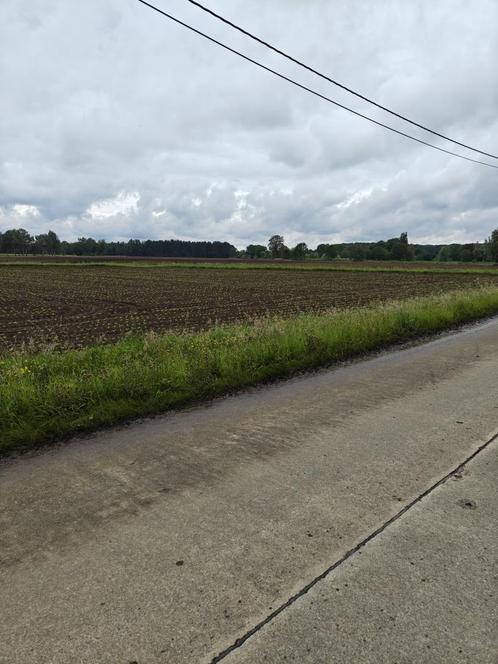 Landbouwgrond op uitstekende locatie!, Immo, Gronden en Bouwgronden, 1500 m² of meer, Verkoop zonder makelaar