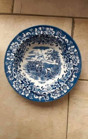 Royal Tudor Ware, Angleterre, Enlèvement ou Envoi