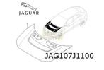 Jaguar	I-Pace (5/18-) (X590) motorkap (te spuiten) Origineel, Nieuw, Jaguar, Ophalen of Verzenden, Motorkap